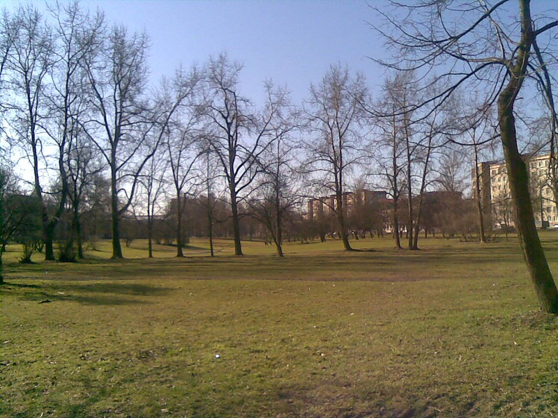 Парк куракина дача в санкт петербурге