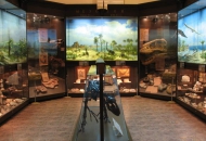 ��������������� ������������� ����� ��. �.�. ����������